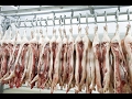 Como Funciona una Planta de Desposte de Carne - TvAgro por Juan Gonzalo Angel