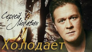 Сергей Любавин - Холодает (Lyric Video, 2021)