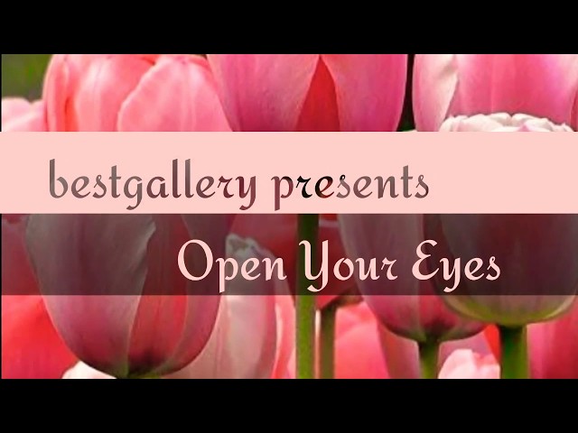 Maher Zain-Open Your Eyes Acapella_no Music class=
