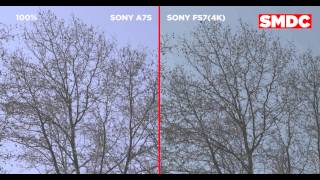 SONY FS7 4K VS A7S 1080P