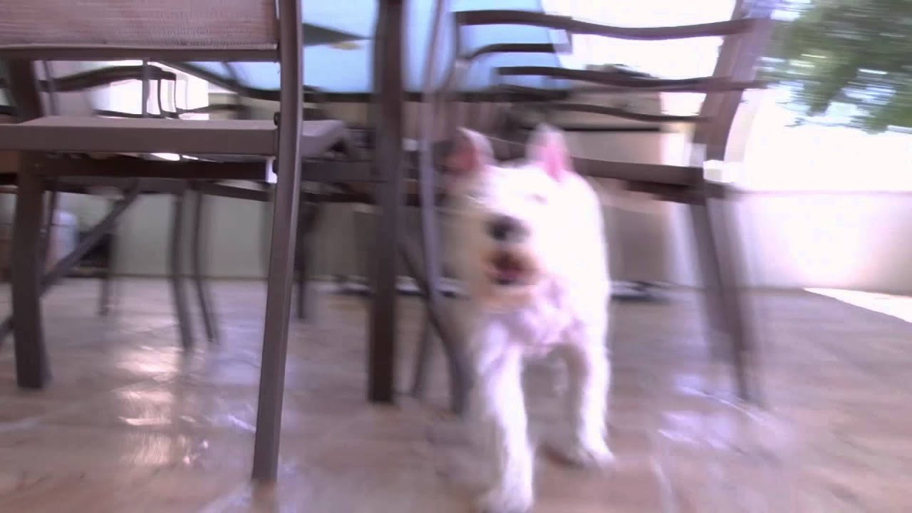 Mia Frolicks | Panasonic HMC-40 Test