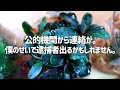 まさかの農林水産省登場。逮捕者待ったなしの理由とは。#344【アクアリウム】