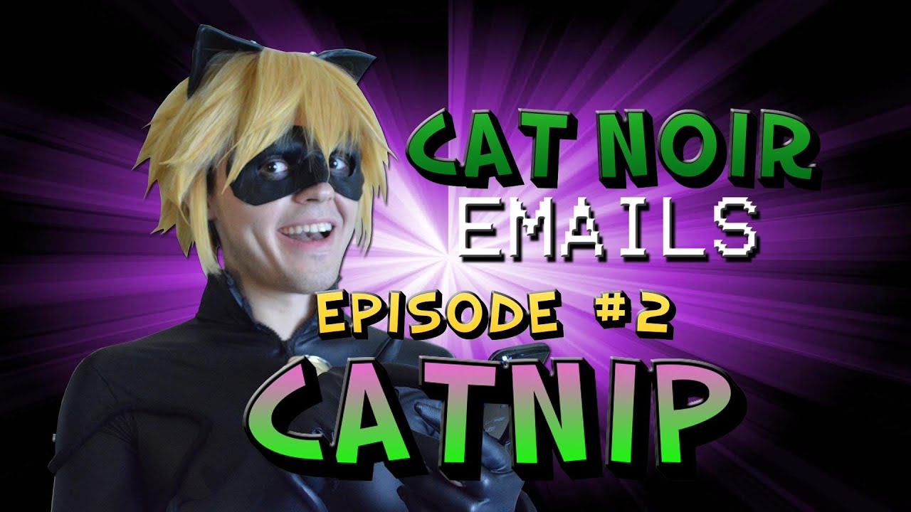 Miracu League Cat Noir Emails Email 2 Catnip