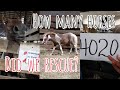 Come to the horse auction bid to save horses in need