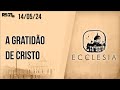 A gratidão de Cristo - Ecclesia - 14/05/2024