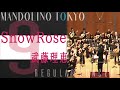 Snow Rose/武藤理恵 マンドリーノ東京 第9回定期演奏会