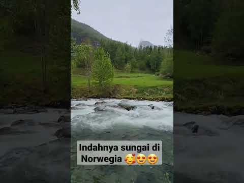 Video: Sungai Norwegia