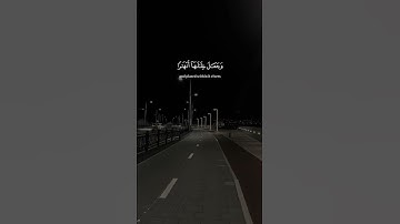 سوره النمل القارئ الشيخ ياسر الدوسري #قران_كريم #شورتس #ياسر_الدوسري