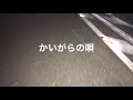 放浪フリーク/かいがらの唄