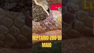 zoo maia Porto Portugal