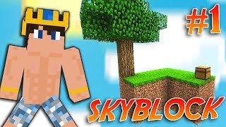 DİAMOND SKYBLOCK ! (GÖREVLER) - YENİ SERİ by Wolvoroth Gaming 4,742 views 4 years ago 16 minutes