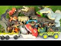 Epic Dino Unboxing ASMR | Colorful T-Rex to Mosasaurus Full Jurassic Set Review
