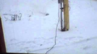 Kenworth T800 Cold Start