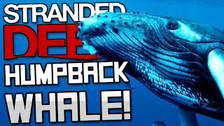 Let's Play STRANDED DEEP Gameplay Part 8 - HUMPBACK WHALE - Let's Play Stranded Deep Gameplay