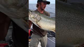 Massive Lake Trout !!