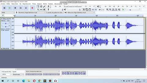 How To Make Ruined Effect on VideoPad and Audacity with Bitcrusher