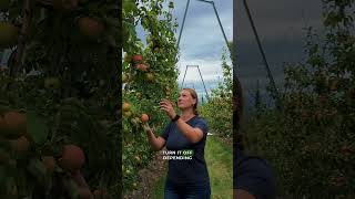 DropControl app for Irrigation Automation at Riveridge