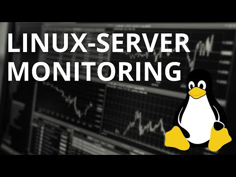 Server Monitoring unter Linux - Unser Einstieg