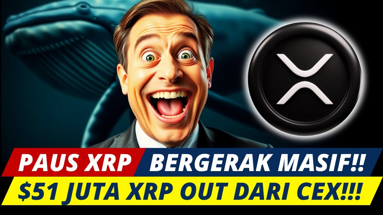 "PAUS XRP Bergerak! 51 Juta Ditarik dari Bursa, Apakah Ini Tanda Bull