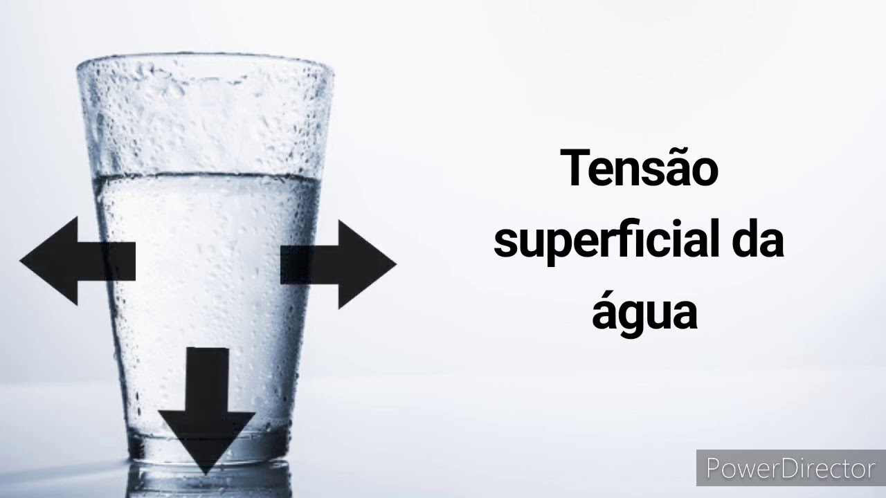 O Que é Tensão Superficial Da água - ZULEDU