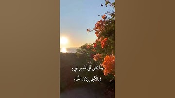 حالات واتس قران. ربنا انك تعلم ما نخفي وما نعلن، سورة ابراهيم ايه 38 للشيخ خالد الجليل.