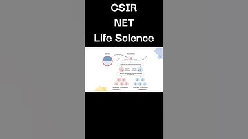 X- inactivation Center/ CSIR NET Life Science#netjrf #csirnet #shorts