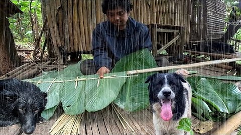 ฝนตก ทำหลังคายุคสมัยก่อน ด้วยใบเร็ดหรือใบตองสาด อากาศหนาวเย็นสดชื่นมากๆ