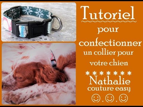 Vidéo: Comment Faire Un Collier De Chien