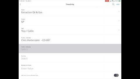 Replicon How-To Enter Daily Time