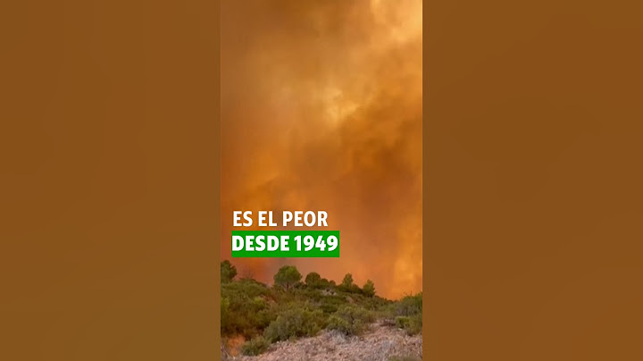 Mega-forest fire in France leaves a death toll
