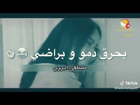 غيرة شديدة غيرة شديدة مصطفي البربري