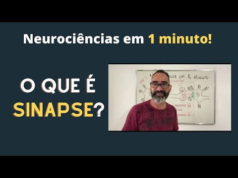 Vídeo: Quando ocorre a sinapse?