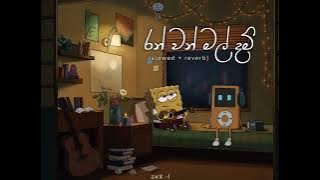 රන් වන් මල් දම් (slowed   reverb) Full song 💖 | Ranwan mal dam