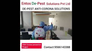De Pest Company Anti-Corona Solutions / corona sanitizer spray