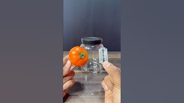 respect 😱🔥l tips and tricks experiment #tiktok #experiment #science