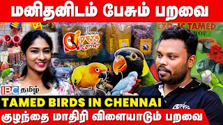 Wow இப்படி எல்லா கூட பறவை இருக்கா..! அசந்துப் போன Anchor | Exotic Birds & Tamed Birds In Chennai