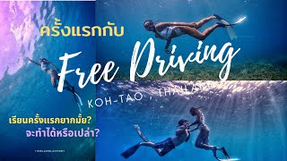 เรียน Freedriving เกาะเต่าจะรอดมั้ย? lVlog เกาะเต่า EP.2 l เที่ยแล้วหลาวpawy