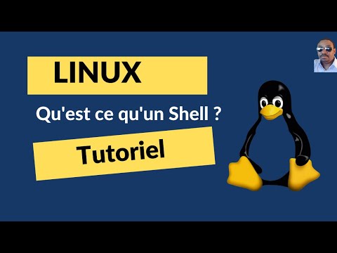 Vidéo: Qu'est-ce que le sans plomb Shell FuelSave ?