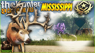 Hunting A Great One Whitetail Deer At A Mississippi Feeder! Call of the wild