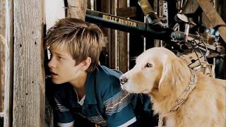 Diamond Dog Caper | The Full Comedy Movie HD @FreeEnglishMovies