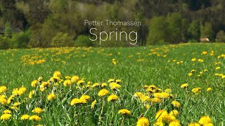 Petter Thomassen  Spring (Relaxing and soothing instrumental)