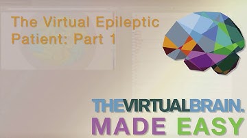 TVB Made Easy: The Virtual Epileptic Patient: Part 1