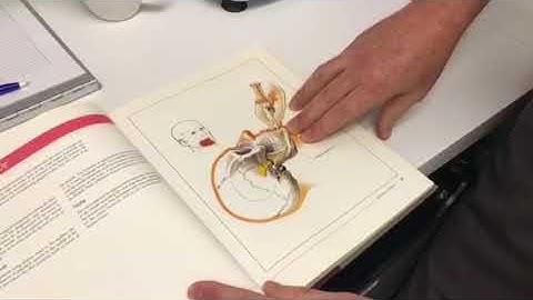 Facial nerve block technique part 1