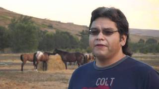 NEZ PERCES HORSES