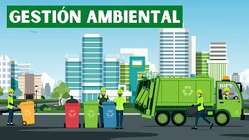 ¿Cuáles son las funciones de la gestión ambiental?