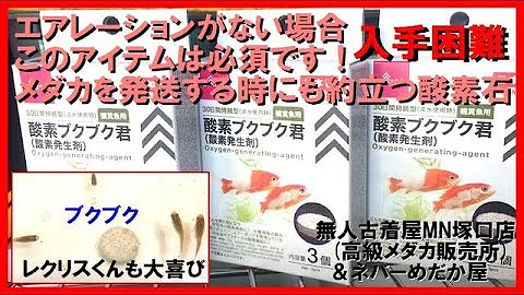水槽 酸素を出す石