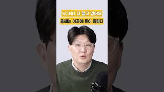 SCHD 다 팔고 있어요 올해는 이곳에 돈이 몰린다 #금정섭