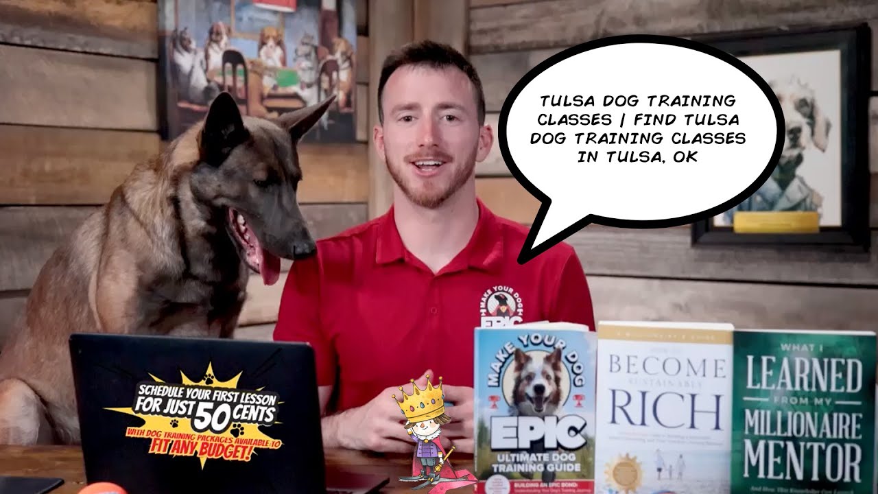 K9 Tulsa Dog Training Tulsa Dog Training Classes Find Tulsa Dog