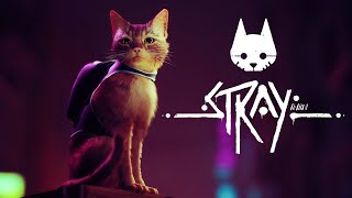 STRAY  Обзор\Прохождение   #мур  #The_Myr