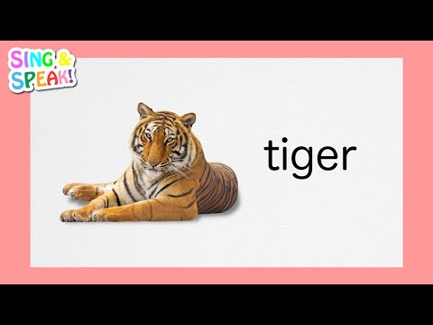 How to pronounce Tiger - YouTube